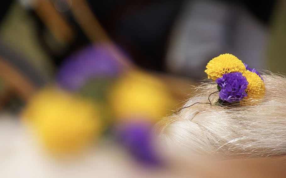 color, colors, flowers, braid, hair, nature, colorful, yellow, violet, white