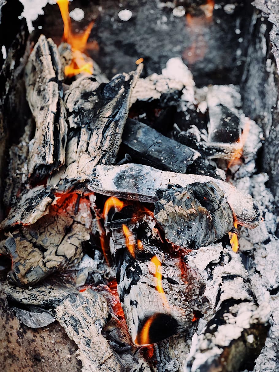 close up, campfire, hot, burn, fire, smoke, charcoal, wood, glow, burning