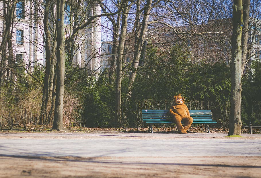 mascot, alone, bear, bench, chair, park, woods, forest, sad, trees