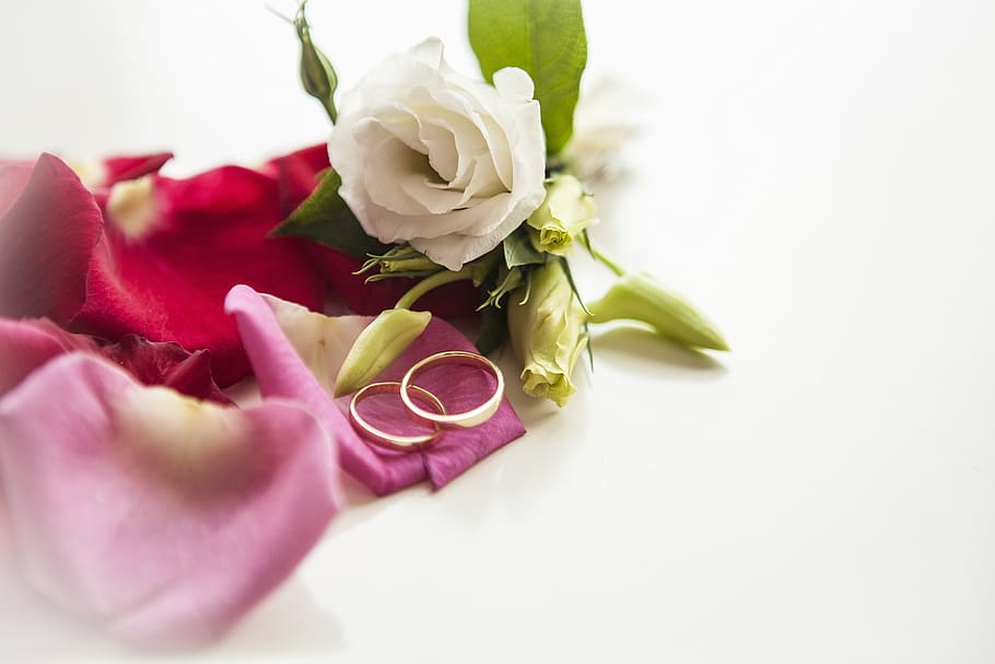 flower, rose, petal, love scam, love, rings, wedding, bride and groom, air, bouquet
