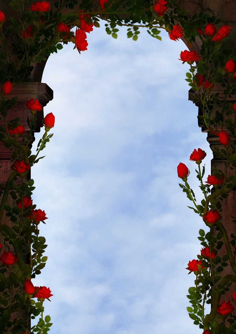 fantasy, archway, roses, clouds, sky, ranke, copy space, dreamy, mood, emotion