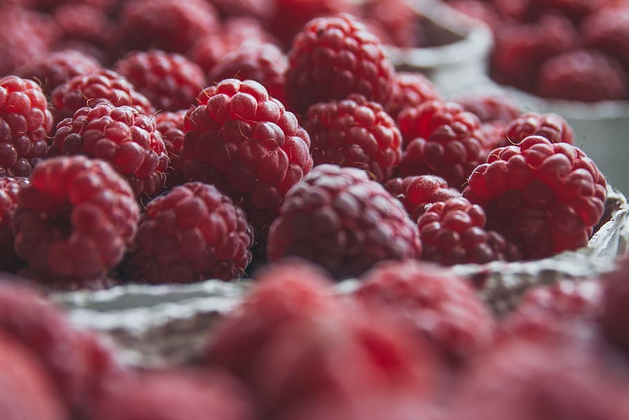 red raspberry, food and Drink, fruit, fruits, food, healthy eating, berry fruit, red, wellbeing, freshness