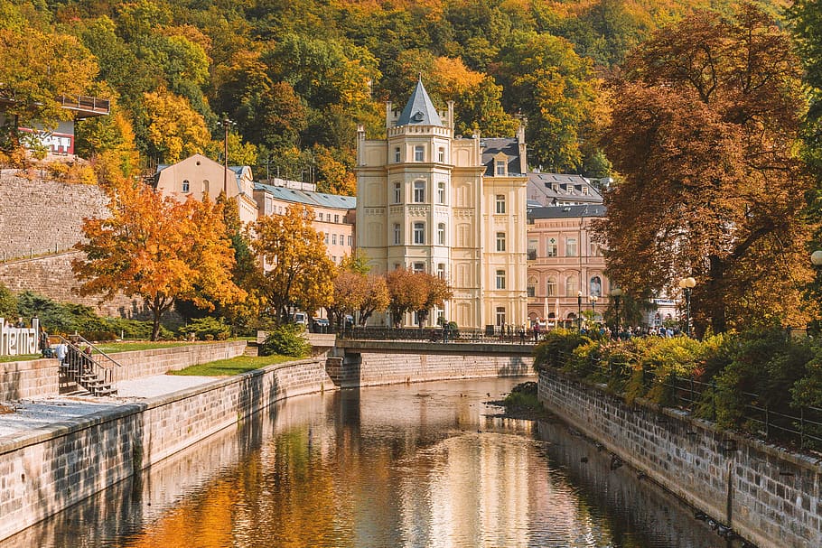 otoño, spa karlovy, variar, república checa, república., árbol, arquitectura, planta, agua, estructura construida