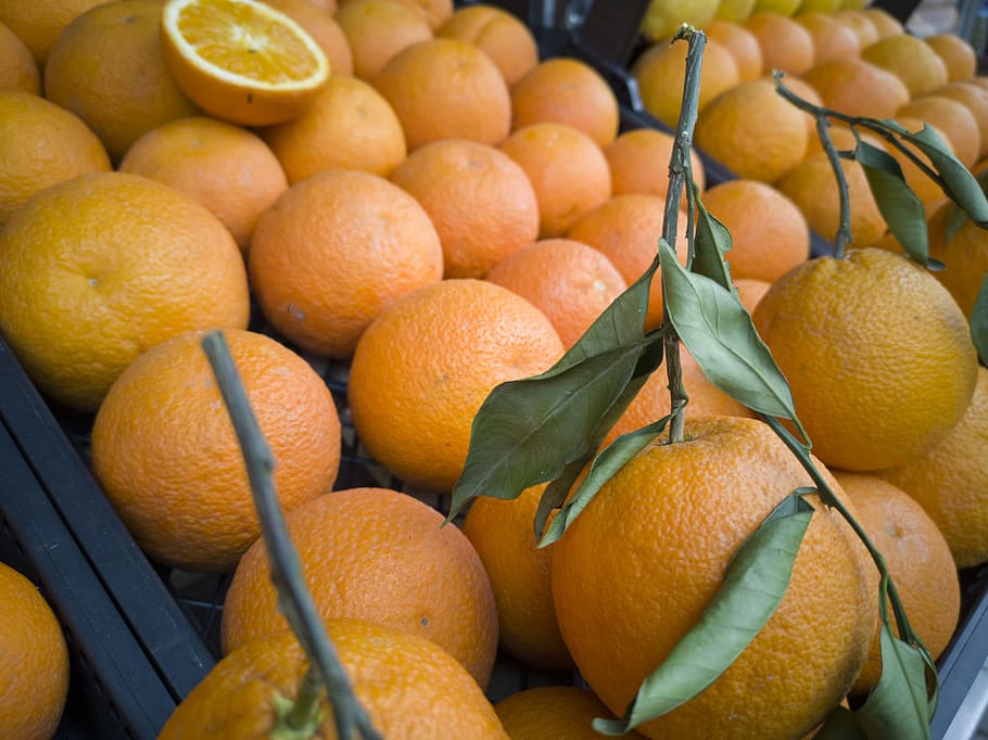 orange, fruit, food, healthy, fresh, citrus, juicy, vitamins, nutrition, tropical