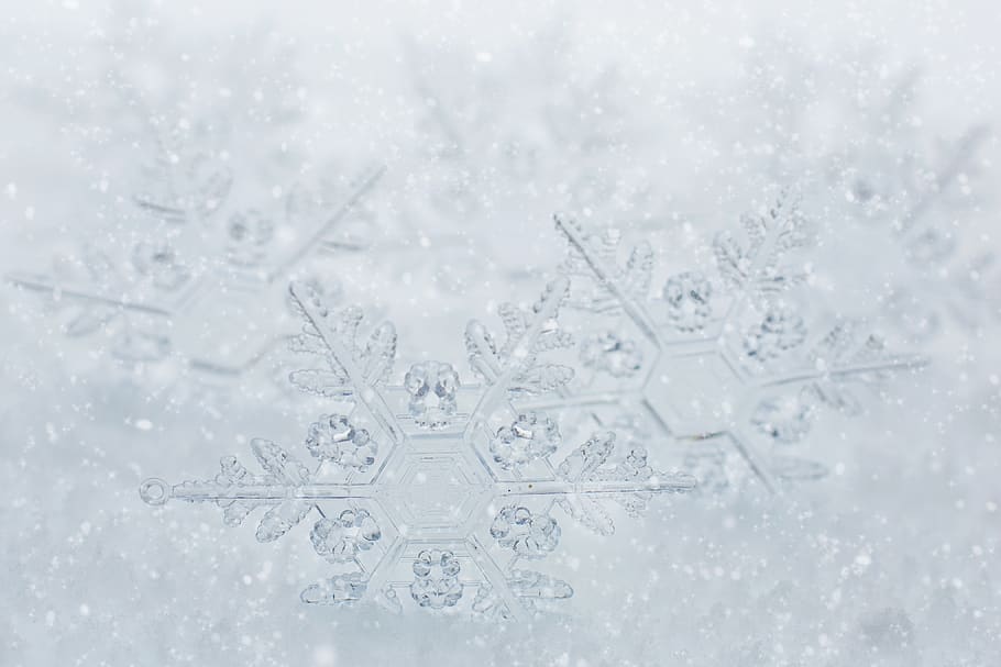 snowflakes, border, white space, text space, winter, snow, white, wintry, snowy, cold temperature