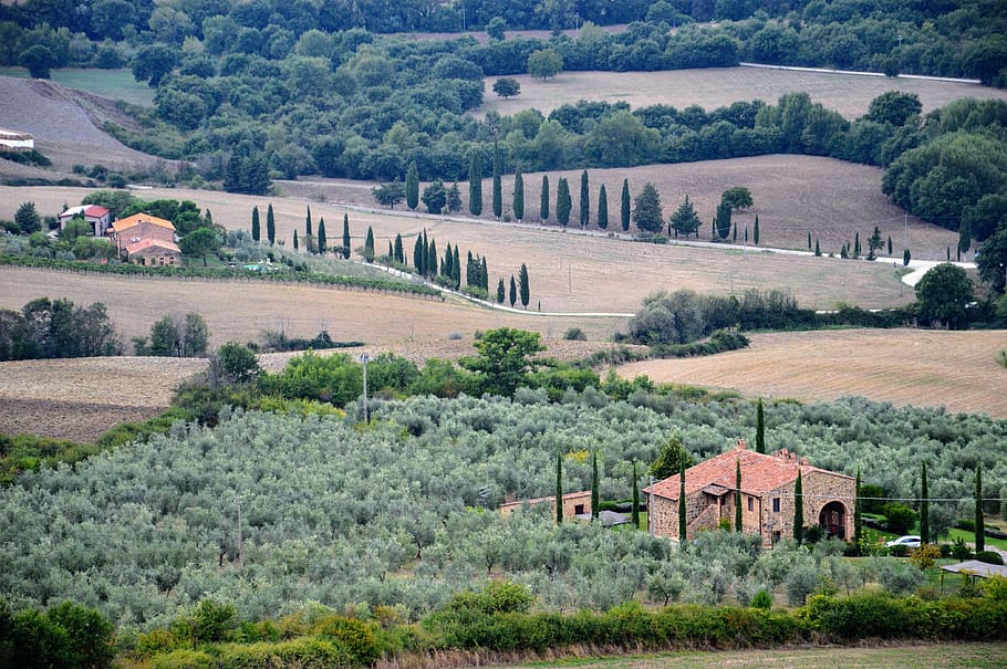 Toscana, chalé, ciprestes, campanha, céu, paisagem, itália, nuvens, arquitetura, estrutura construída