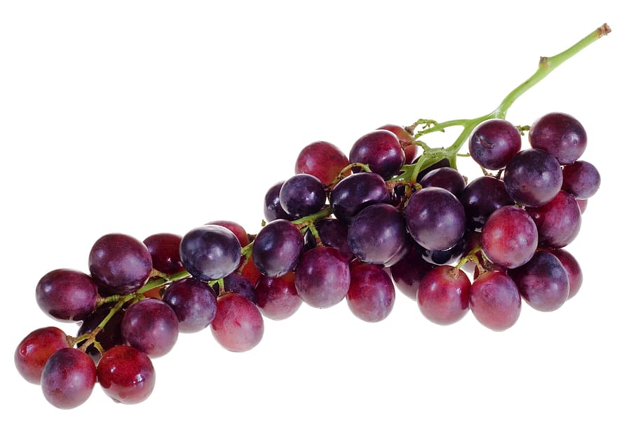ungu, anggur, close-up, closeup, diet, makan, makanan, segar, kesegaran, buah