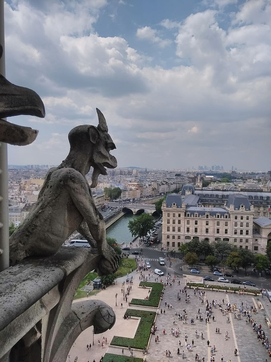 paris, europe, notre dame, roof, daemon, skyline, watch, gargoyle, gothic, culture