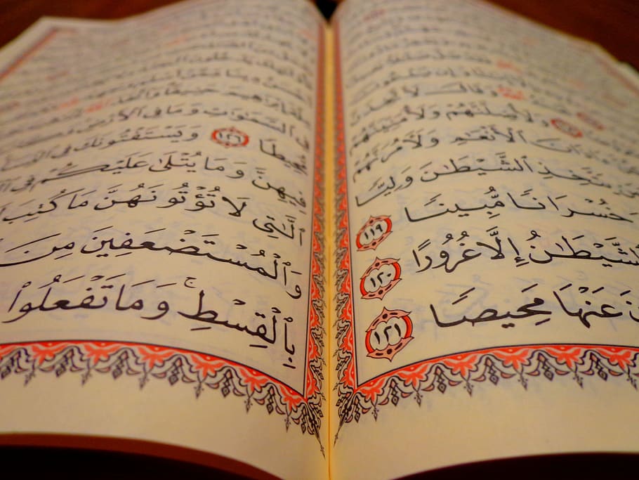 Corán, islam, libro, el texto de la, educación, lectura, página, letras, fuente, conocimiento