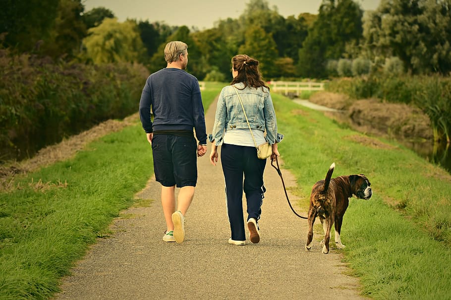 man, woman, couple, walking, two, together, pair, family dog, road, rural