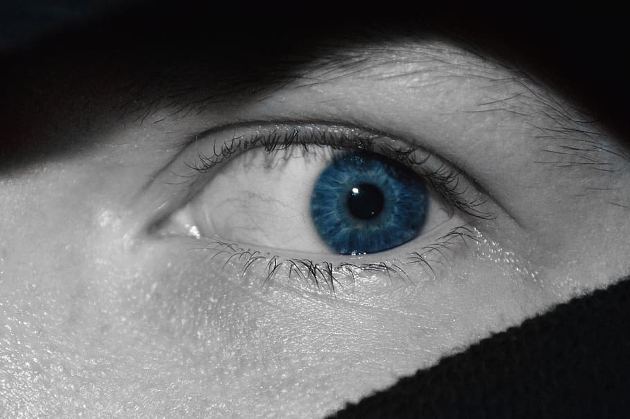 olho, pessoa, azul, mulher, rosto, com medo, medo, olho humano, parte do corpo humano, visão