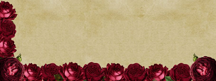 Rosas, marco, imagen de fondo, flores, rosas rojas, cutre, elegante, vintage, fondo, línea de tiempo