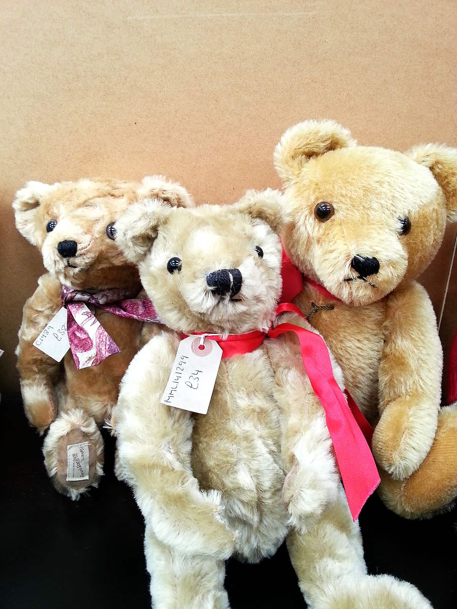 three, teddy, bears, price tags, sale, shop., teddybears, teddies