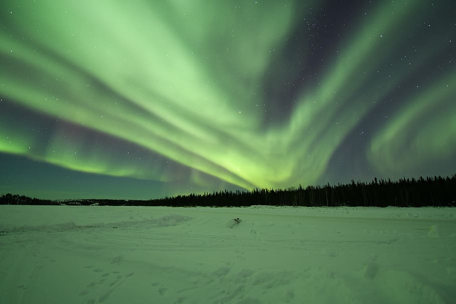 lampu utara, aurora borealis, yellowknife, canada, keindahan di alam, musim dingin, scenics - alam, suhu dingin, malam, salju