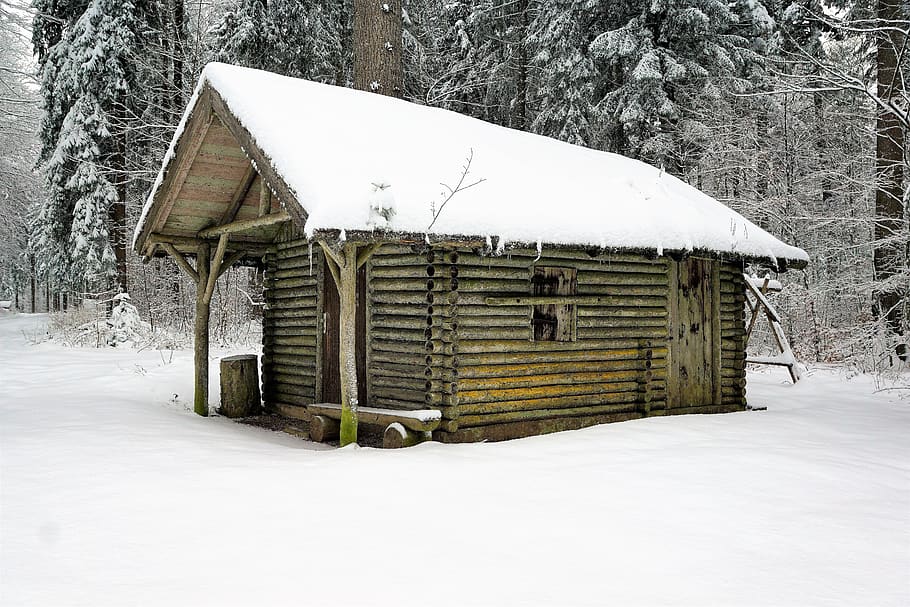 winter, snow, wood, house, barrack, bungalow, cold, hut, woods, nature