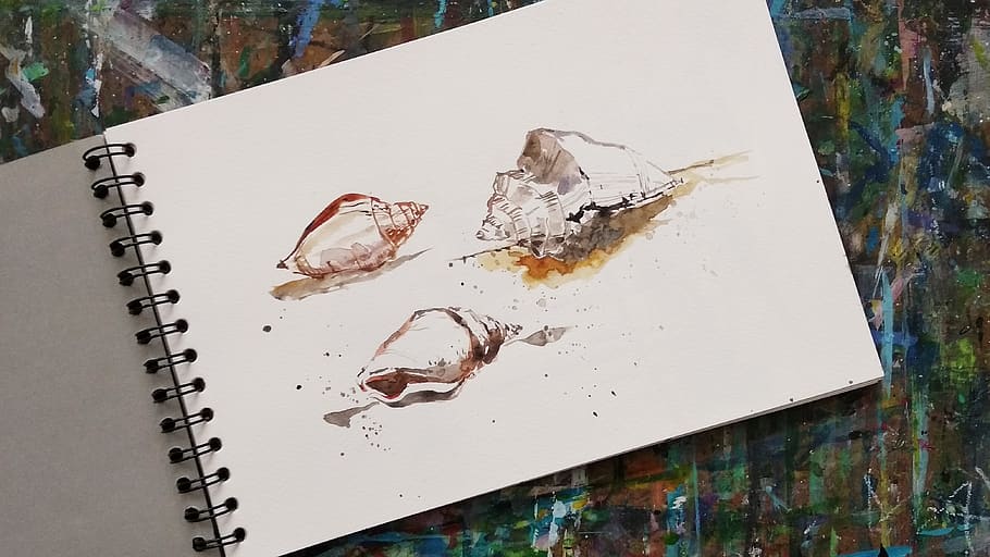 sea shells, watercolor, sketchbook, art, painting, high angle view, art and craft, still life, close-up, creativity