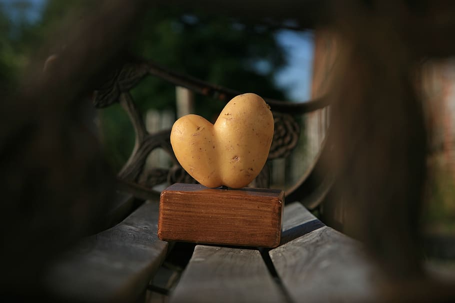 potato, heart, hand, vegetables, eat, nutrition, food, harvest, bio, nature