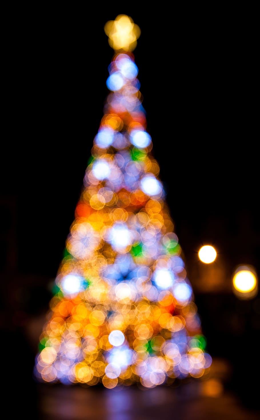 Natal, pohon, lampu, gelap, malam, bokeh, kabur, diterangi, liburan, dekorasi natal