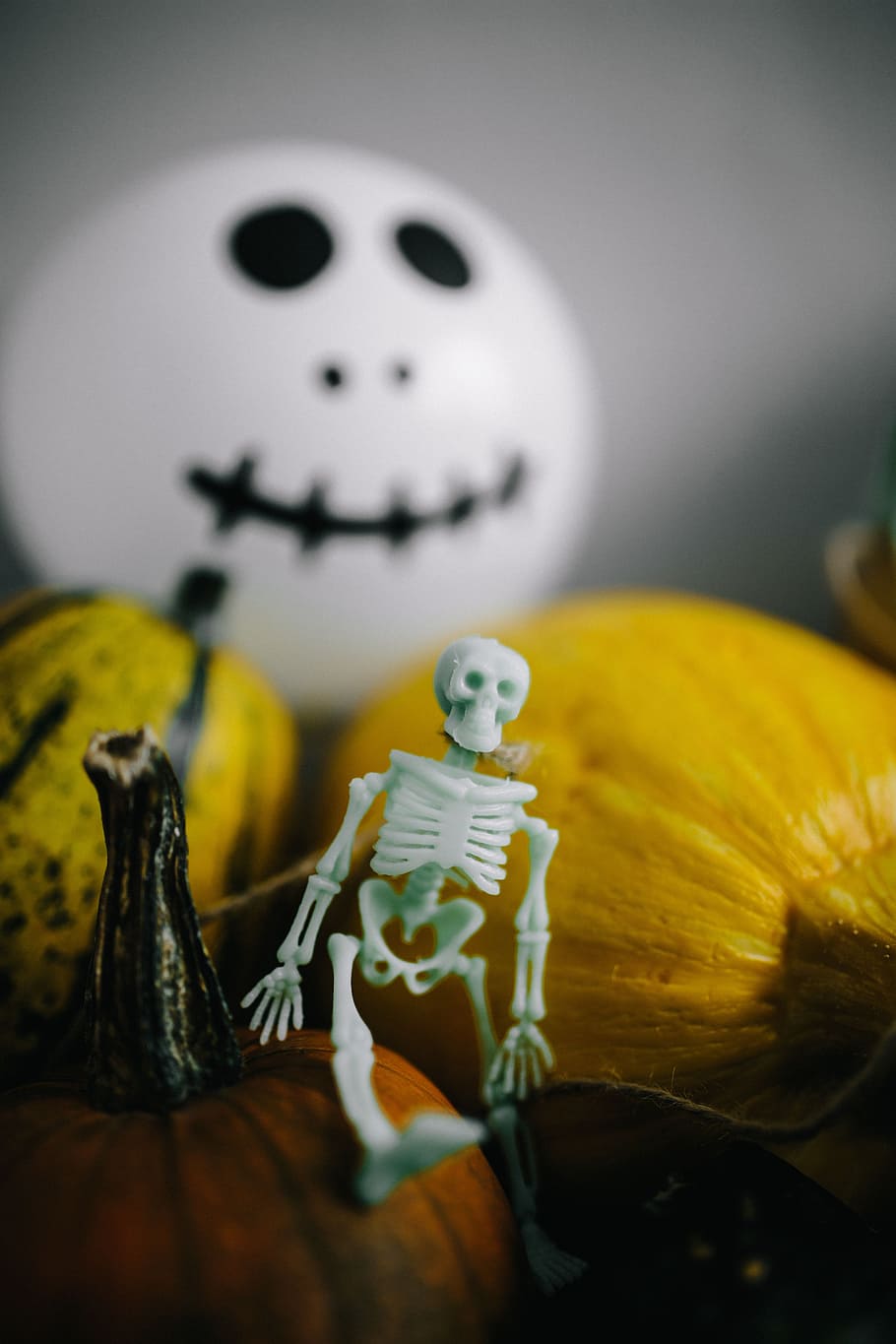 abóboras e dia das bruxas, legumes, outono, abóboras, engraçado, dia das bruxas, fantasmas, vaia, esqueleto humano, esqueleto