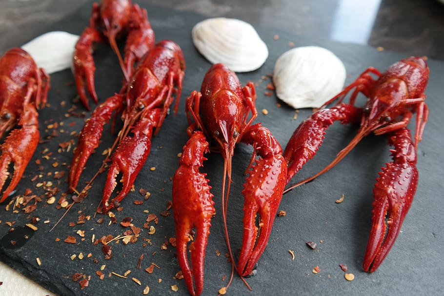 boiled crayfish, eat, food, claw, food and drink, freshness, red, wellbeing, still life, close-up