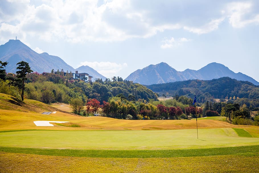 healing, golf course, in autumn, green, mountain, plant, sky, tree, grass, scenics - nature