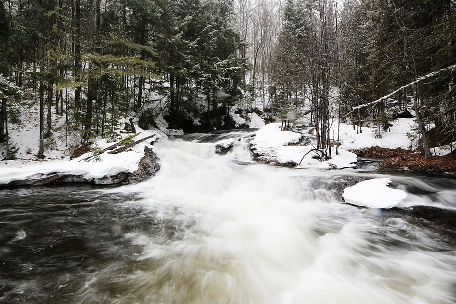 river, stream, water, rocks, outdoors, nature, forest, woods, trees, snow