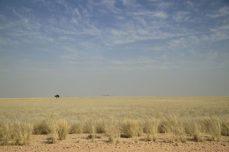 namib desert, kalahari, desert, africa, namibia, sky, landscape, environment, field, land