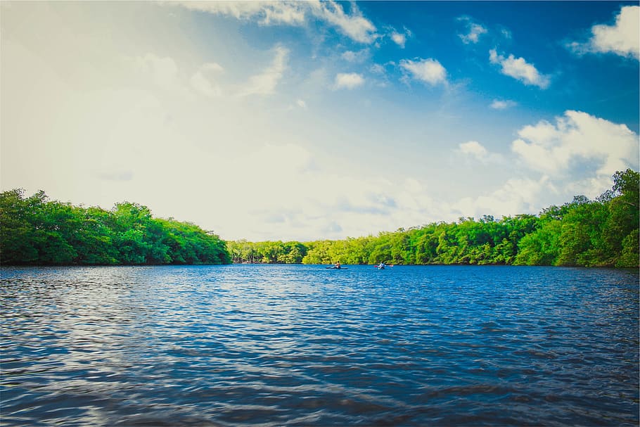 lake, water, sunshine, summer, canoe, kayak, trees, blue, sky, clouds
