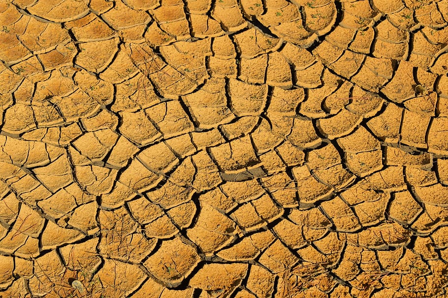 drought, aridity, aridness, dry, crack, texture, surface, ground, environmental, climate