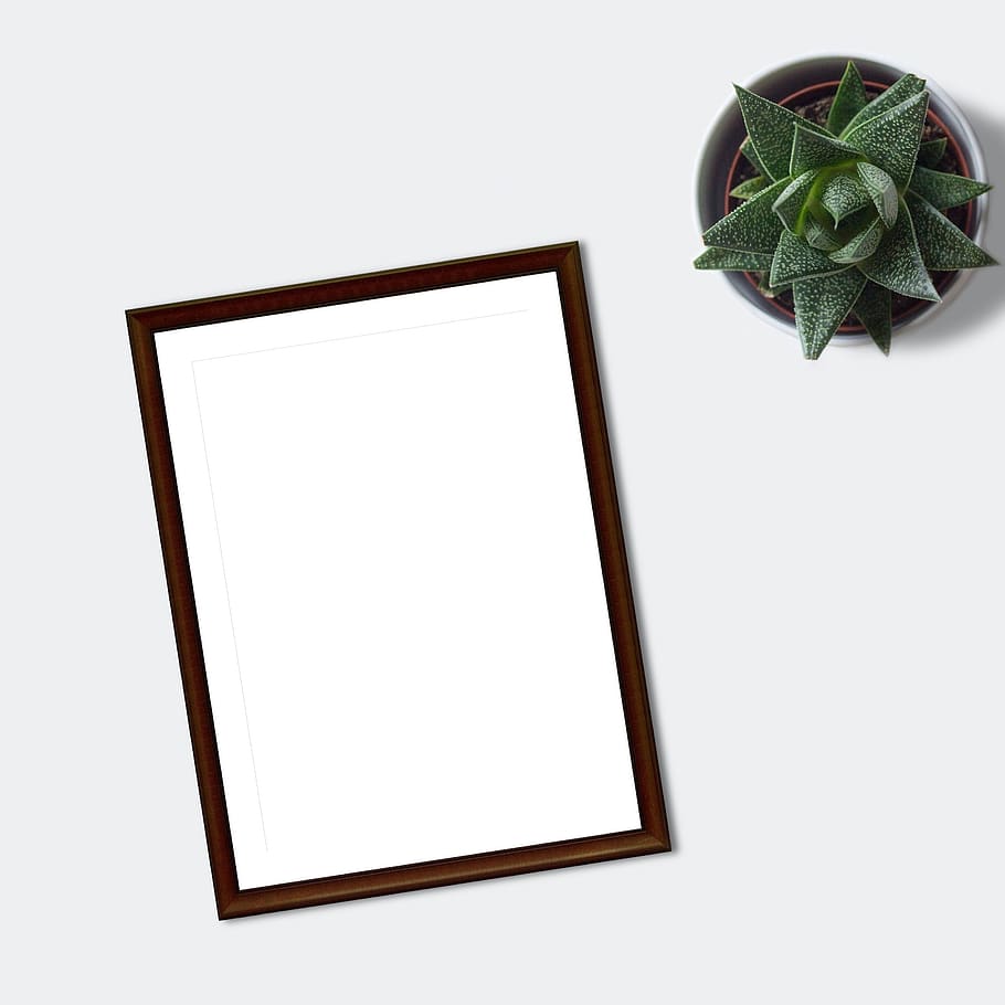 frame, mockup, flatlay, plant, ecommerce, blank, paper, marketing, business, succulent
