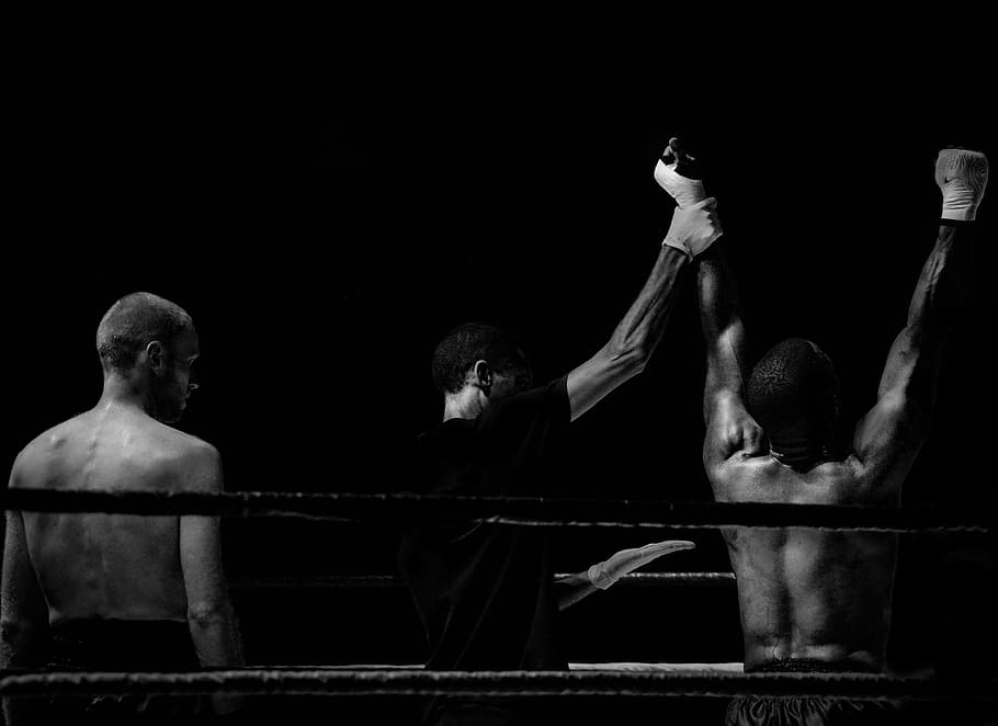 kickboxing, fighting, fighters, sports, champion, ring, ropes, black and white, athletes, gym