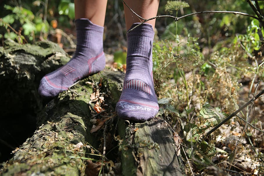 socks, nature, forest, outdoor, feet, tourism, one, travel, mountains, foot