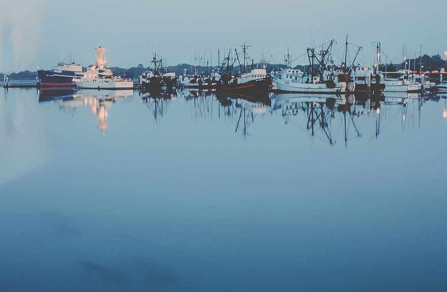 boats, tied, harbor, dock, docking, fishing boat, landscape, reflection, retro, blue sky