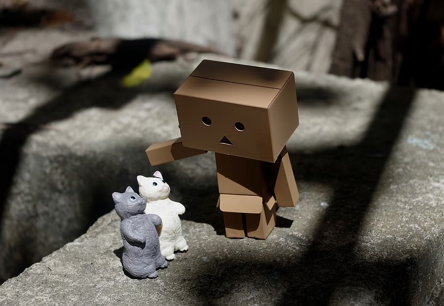 danbo, outdoor, toy, cat, kitten, domestic, figurine, small, cute, funny