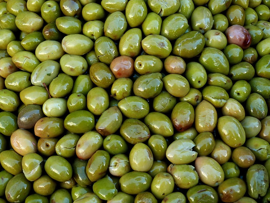 olives, harvested, pick, green, trees, agriculture, commercial, ripe, farming, horticulture