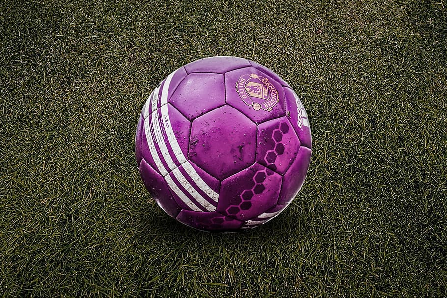 soccer ball, adidas, sport, play, grass, ball, high angle view, pink color, soccer, close-up