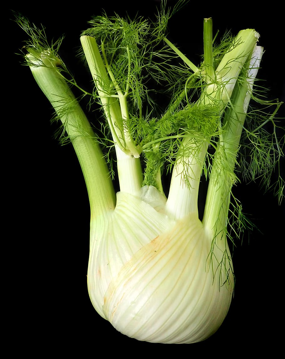fennel, vegetable, healthy, vegetarian, food, green color, freshness, black background, close-up, plant
