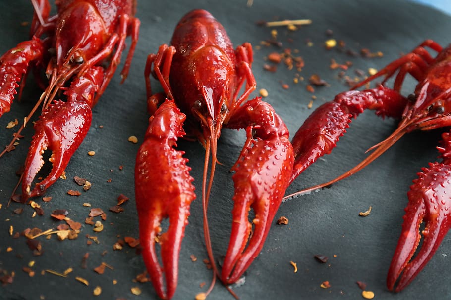 boiled crayfish, eat, food, claw, food and drink, red, close-up, freshness, indoors, seafood