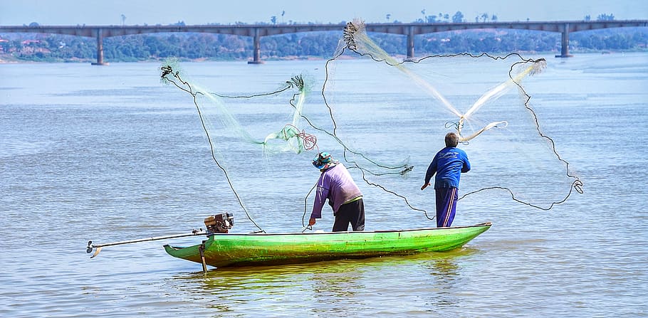 fishing, mekong, river, longtail, boat, green, pakse, laos, bridge, water