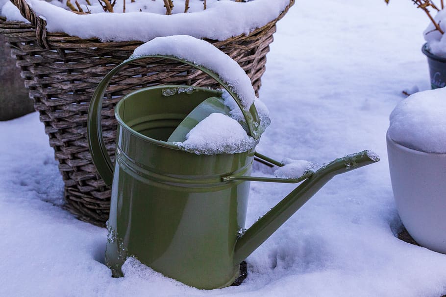 watering can, snow, green, white, winter, cold, season, garden, ice, snowy