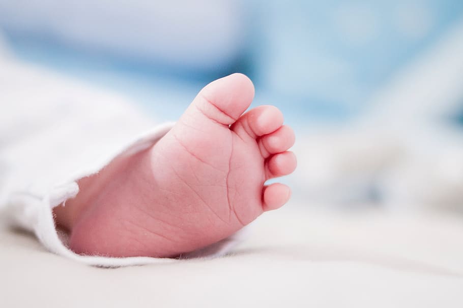 pequeño, bebé, pie, dedos de los pies, recién nacido, familia, niño, niña, azul, joven