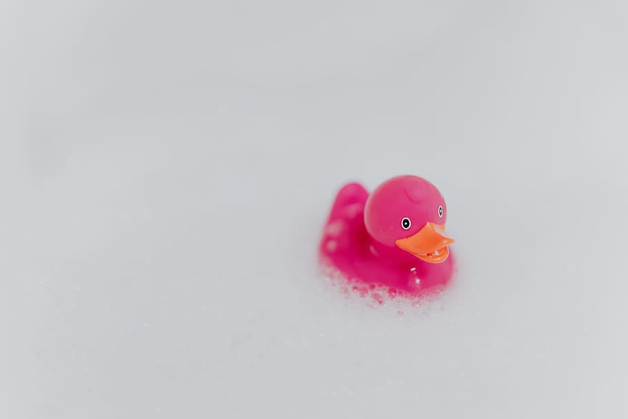 pink, rubber ducky, foam, rubber duck, pink duck, soap bubbles, toy, rubber toy, bath, pink color