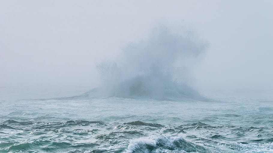 sea, ocean, water, waves, nature, fog, motion, beauty in nature, power, power in nature