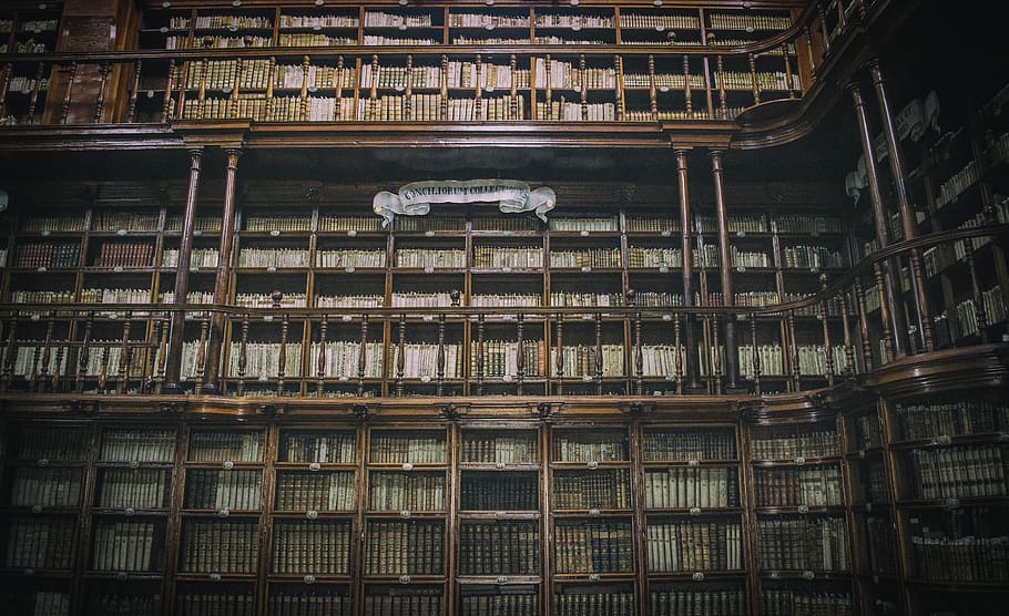 architecture, book, books, buildings, inside, library, shelves, knowledge, wisdom, read