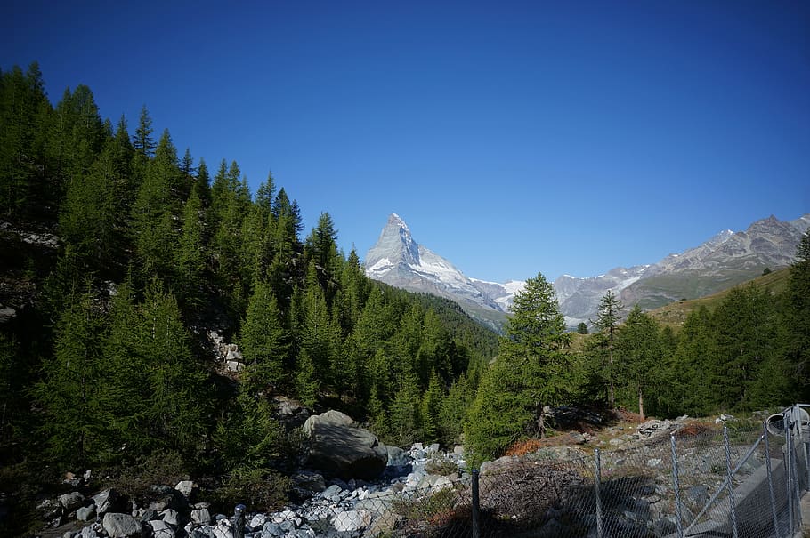 matterhorn, zermatt, switzerland, alps, tree, mountain, beauty in nature, plant, scenics - nature, sky