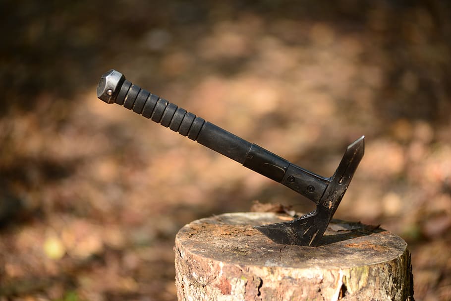 axe, sog, weapons, tomahawk, hack, vikings, formidable, autumn, stump, forest