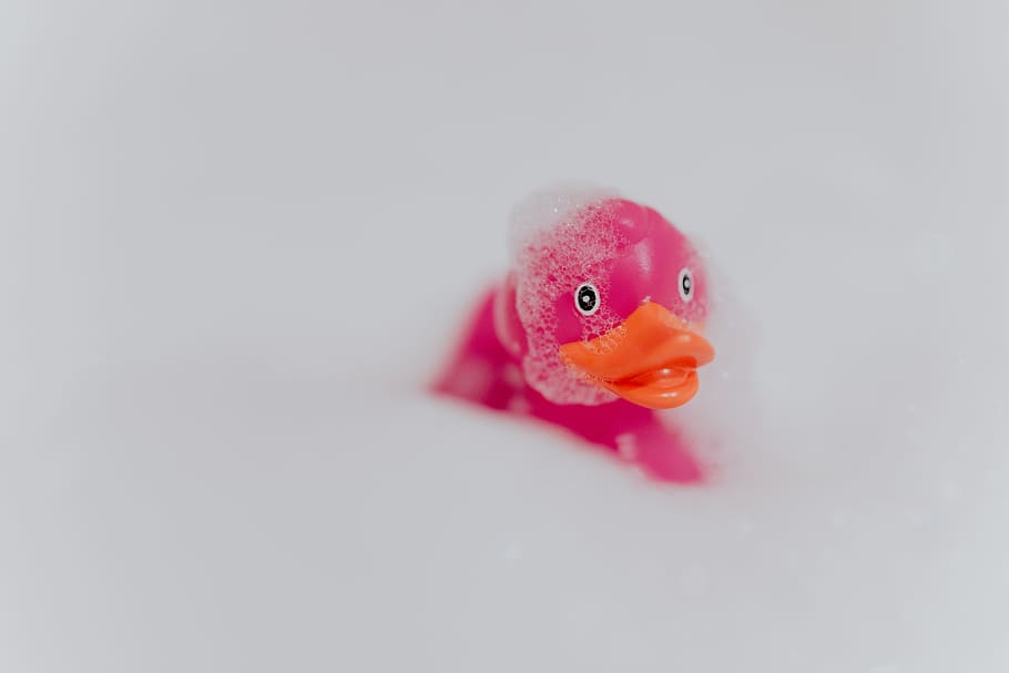 pink, rubber ducky, foam, rubber duck, pink duck, soap bubbles, toy, rubber toy, bath, animal