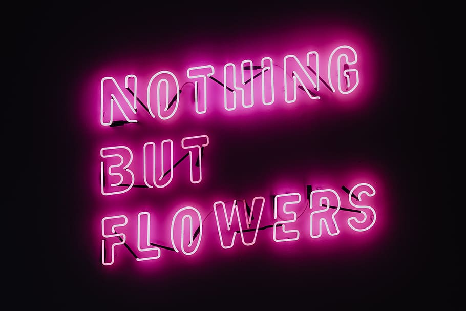 nothing, flowers, glowing, neon, quote, light, pink, ŁDF, glow, lodz design festival
