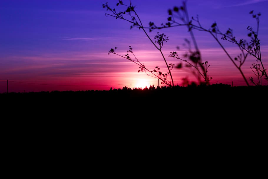 purple, sunset, sky, nature, light, sun, romantic, landscape, evening, dawn