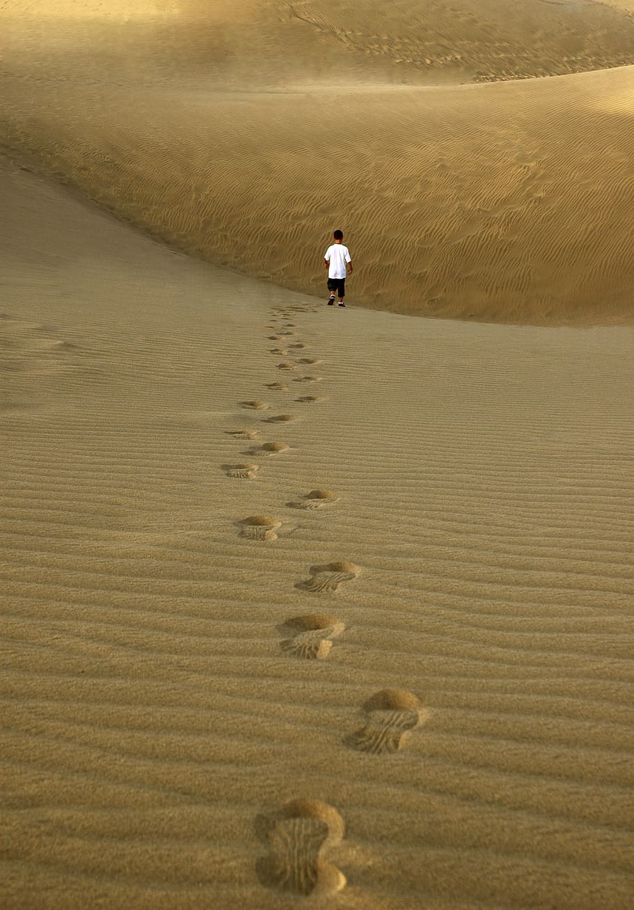 sand, footsteps, beach, holiday, footprint, hiking, footprints, dunes, land, one person